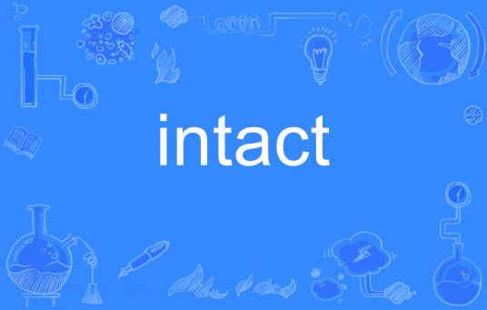 intact（英语单词）_百度百科