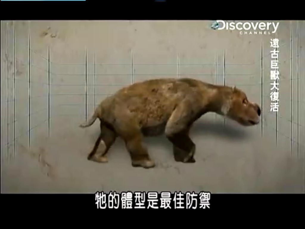  p>双门齿兽( i>diprotodon /i>),又名古草食有袋属,是最大的 a href=