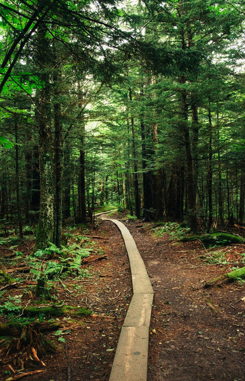 appalachian national scenic trail