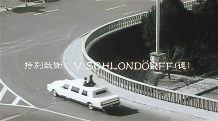灿烂阳光的日子
