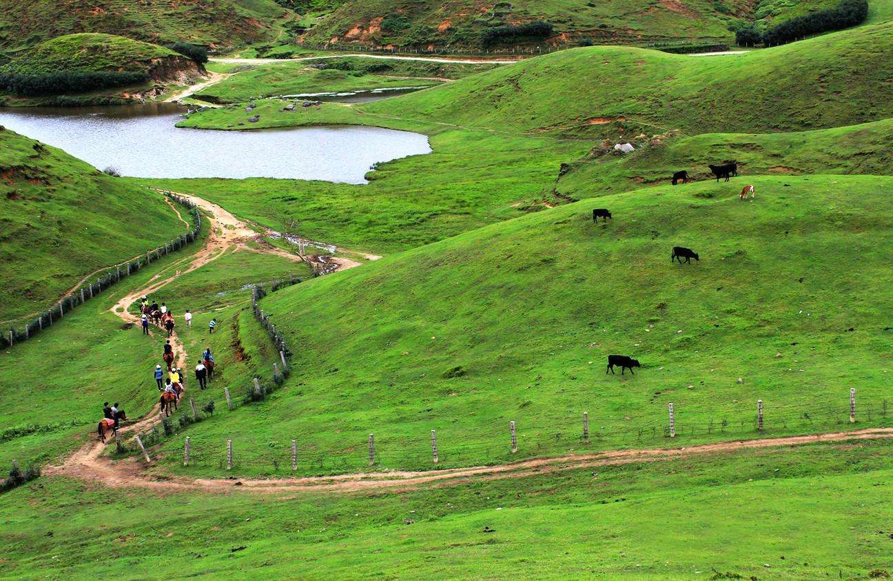 菖蒲大草原景区