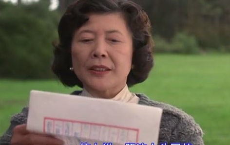 喜福会thejoyluckclub(1993)