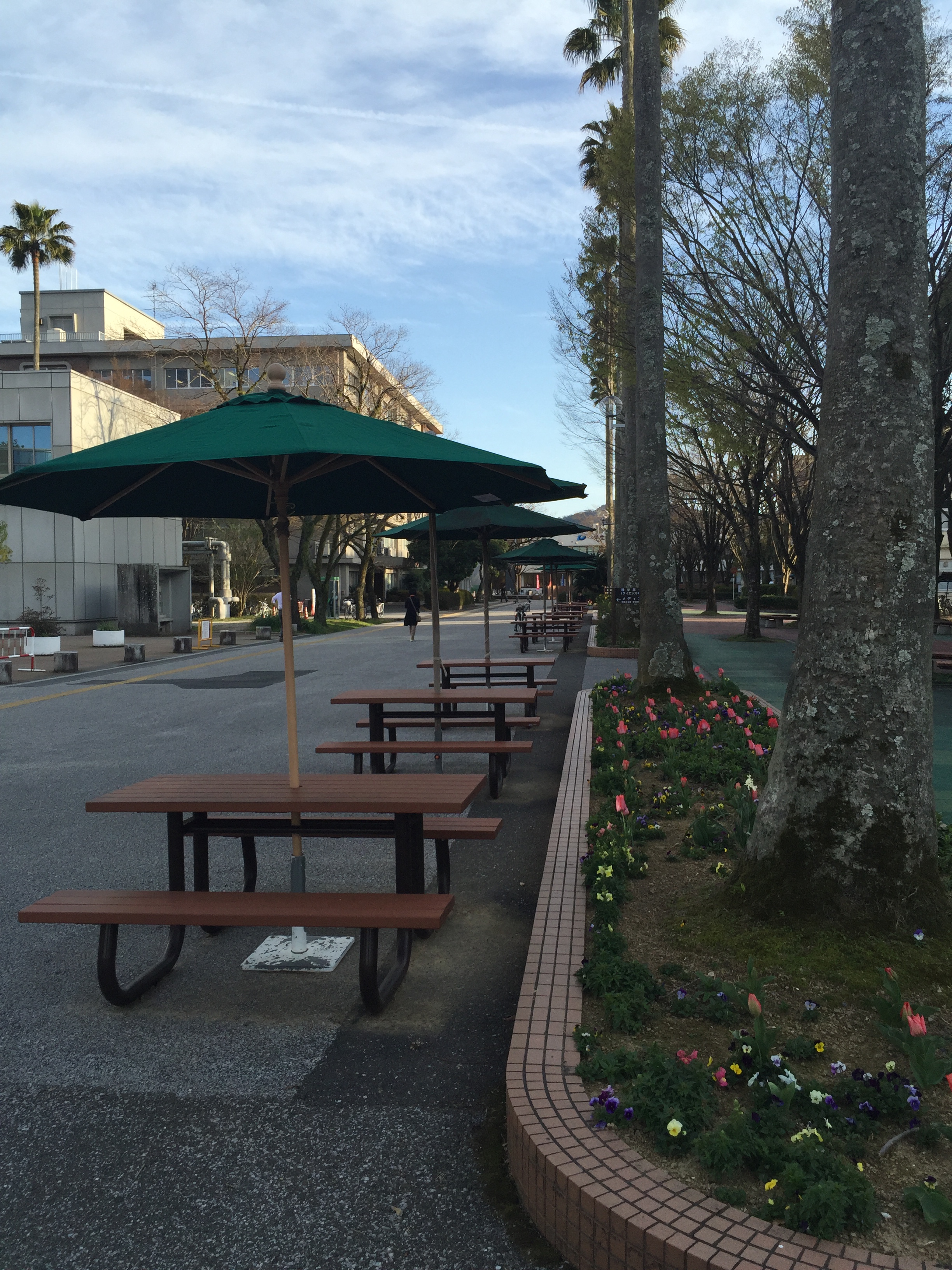  p>高知大学(日文平假名:こうちだいがく;英文:kochi university),于