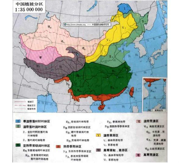 植被类型图