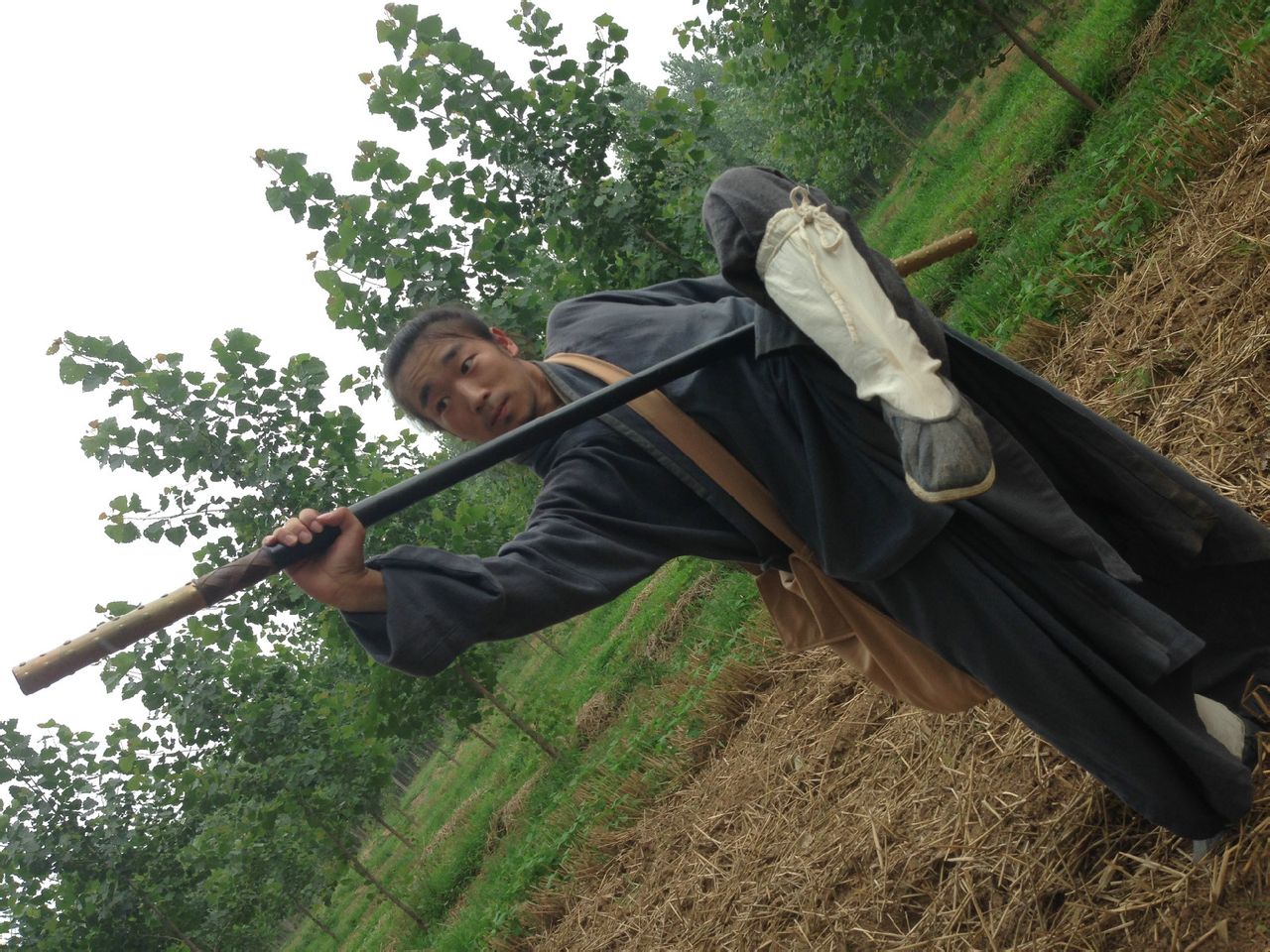 《风云小棋王3:五行杀阵》是由韩凤泉执导,沈文常,王飞主演的一部电影