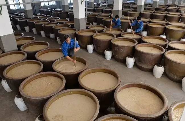 ">生物学 /a>和 a href="#" data-lemmaid="889686">工程学 /a>为基础