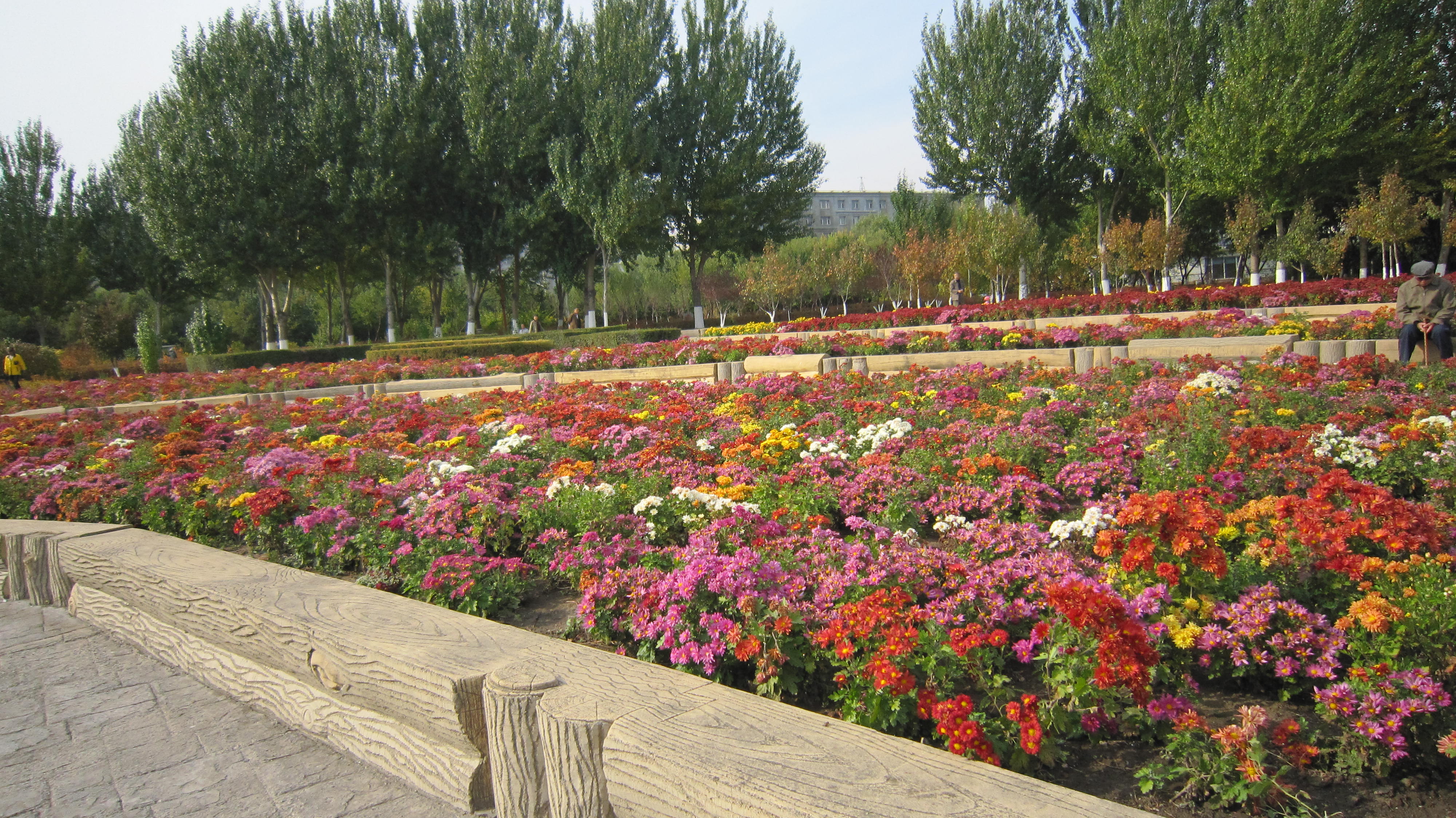 27ft">菊花台公园位于 a target="_blank" href="/item/南京/23952"