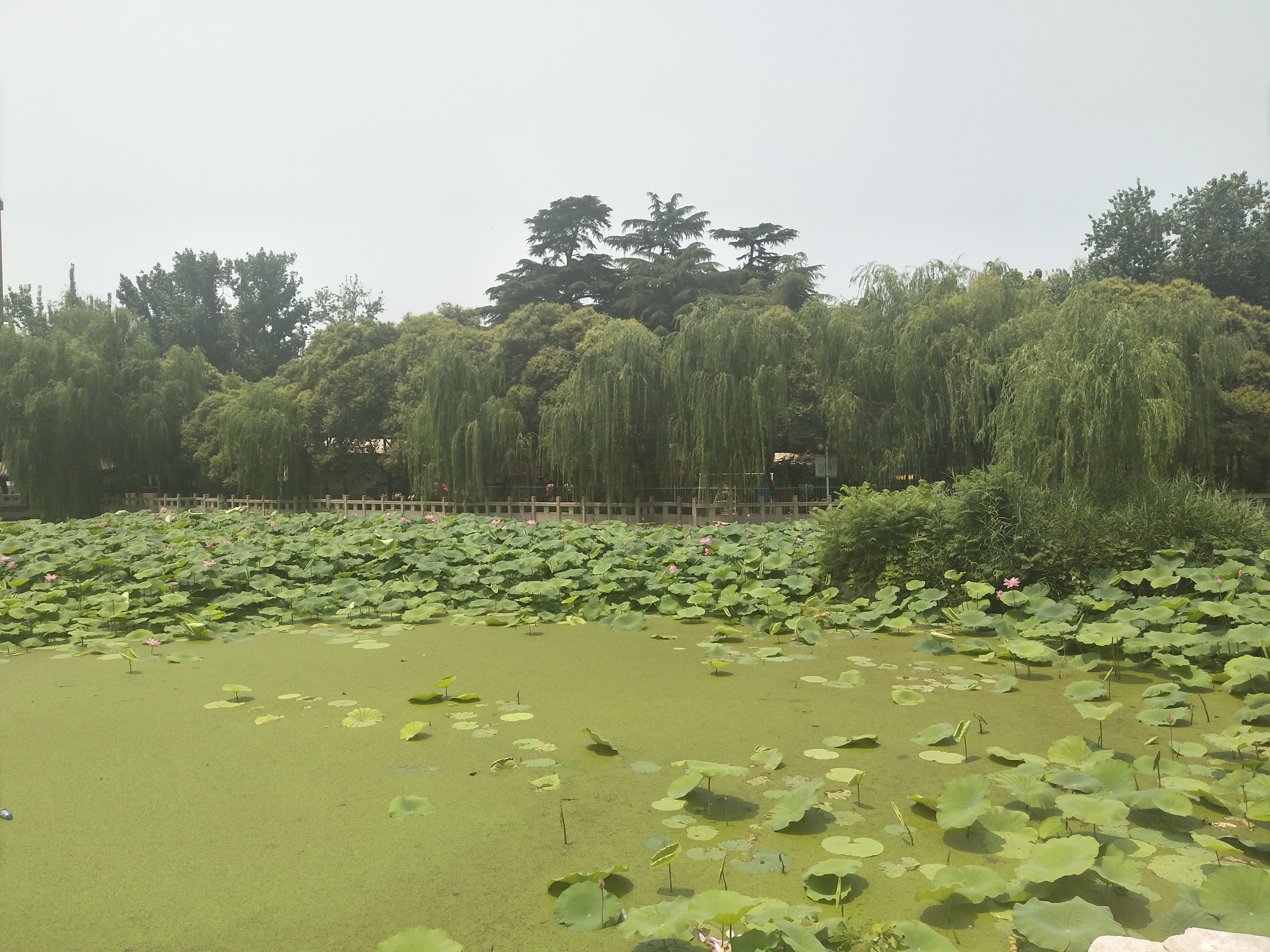 安阳市人民公园