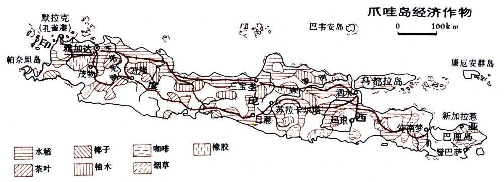 爪哇岛