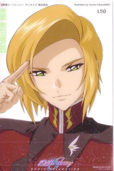 westenfluss,又译海涅·西川)是日本动漫《机动战士高达seed destiny