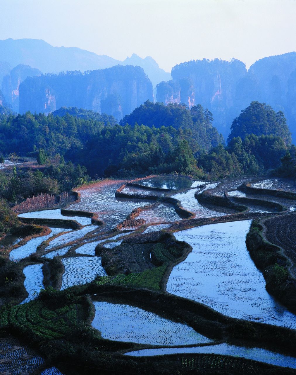 云南元阳梯田风景区