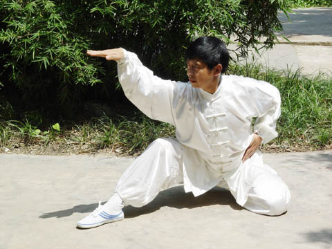 蛇的各种动作形象结合技击的 a target="_blank" href="/item/象形拳