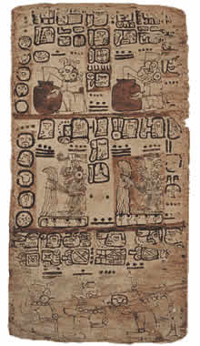 是以 a href="#" data-lemmaid="8741359">玛雅文字 /a>写在脱毛榕木