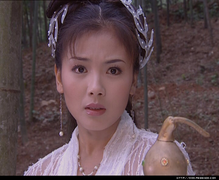  p>《白蛇传》是中国中央电视台在2004年5月至9月间拍摄的一部基于