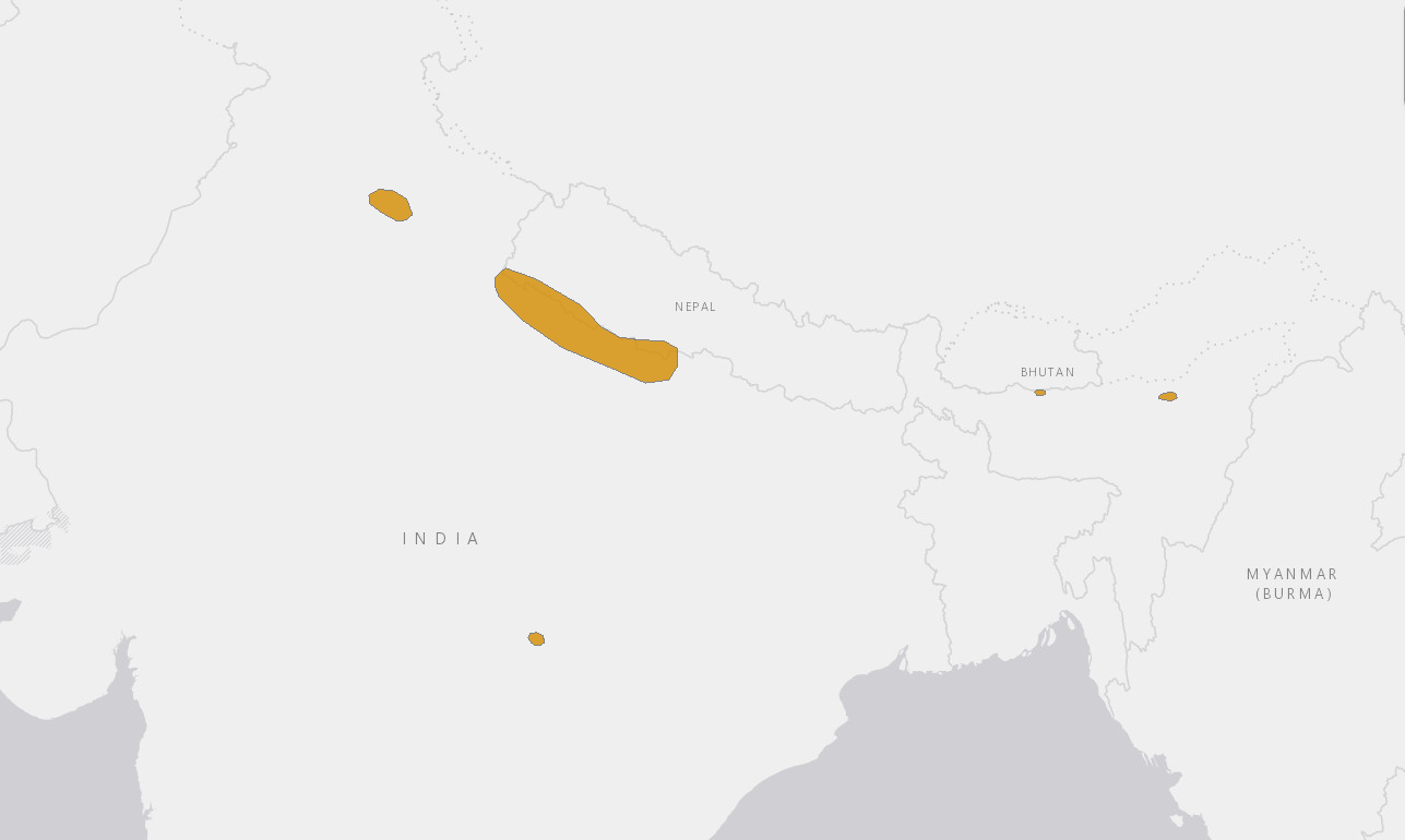 千克,背部呈棕栗色,两侧和腹部呈浅褐色,腿部,臀部和尾部下侧呈乳白色
