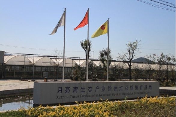 关于铜山区网站建设是真的吗的信息