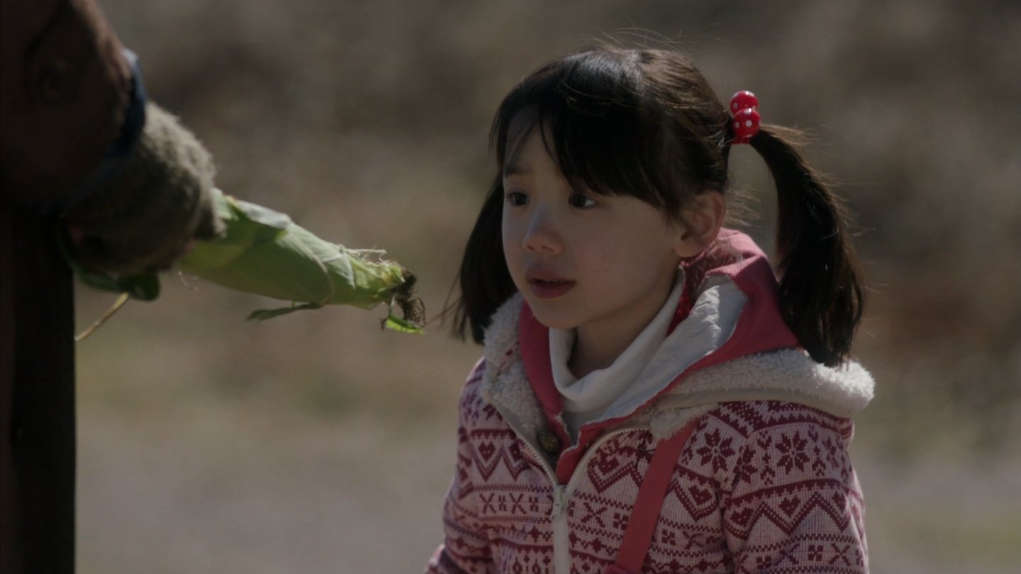 再见了,我们的幼儿园