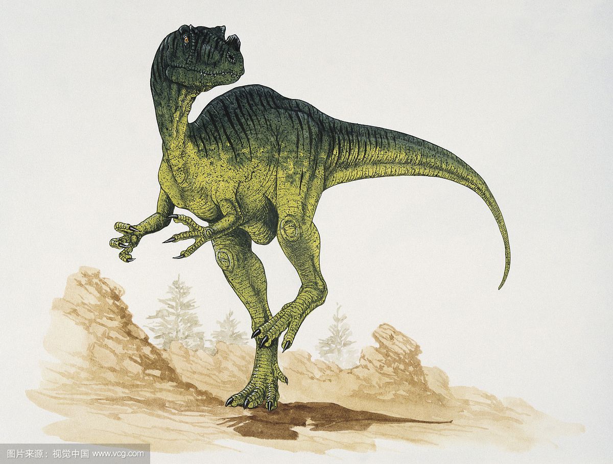 原角鼻龙(proceratosaurus)
