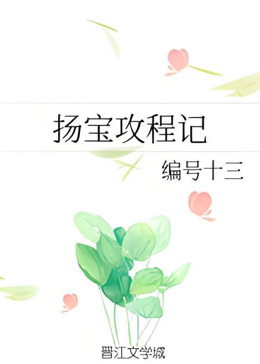 扬宝攻程记_百度百科
