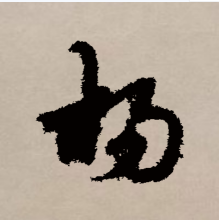 杨（汉语汉字）_百度百科