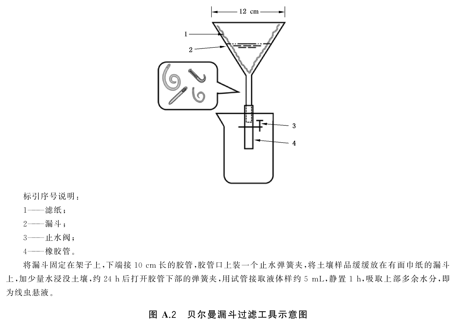 贝尔曼漏斗法