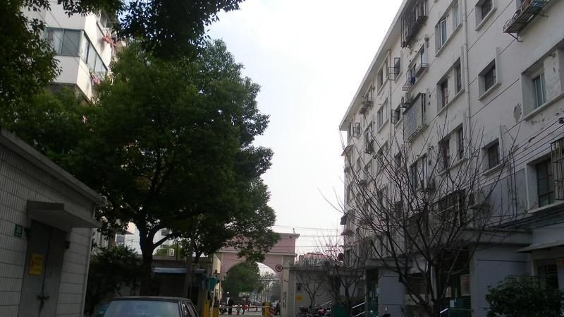 国风东风小区位于合肥市蜀山五里墩,共计房屋189户.