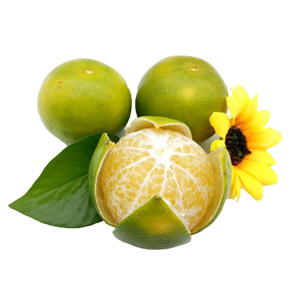 柑,芸香科柑橘属