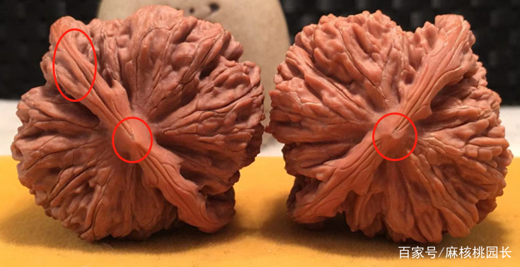 修过的文玩核桃不能玩？这是我听过最科学的答案！_百科TA说