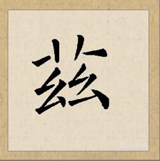 兹的拼音(兹的拼音字)