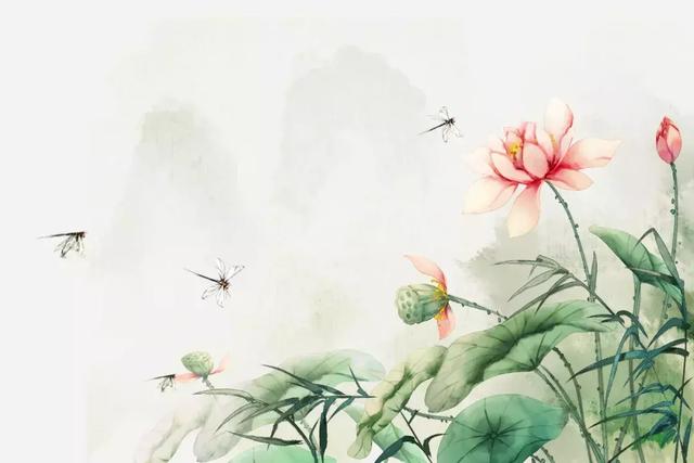 诗词中的夏天，名字好美！_百科TA说