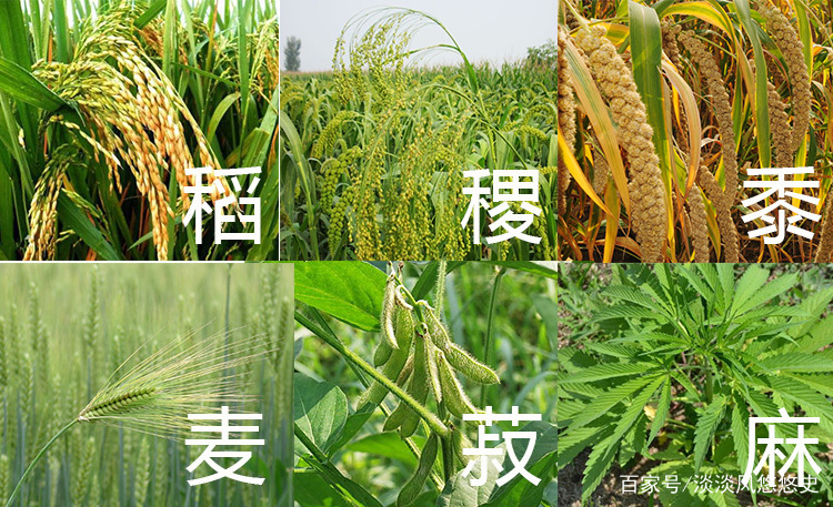 历史常识——上古时期人们的饮食_百科TA说