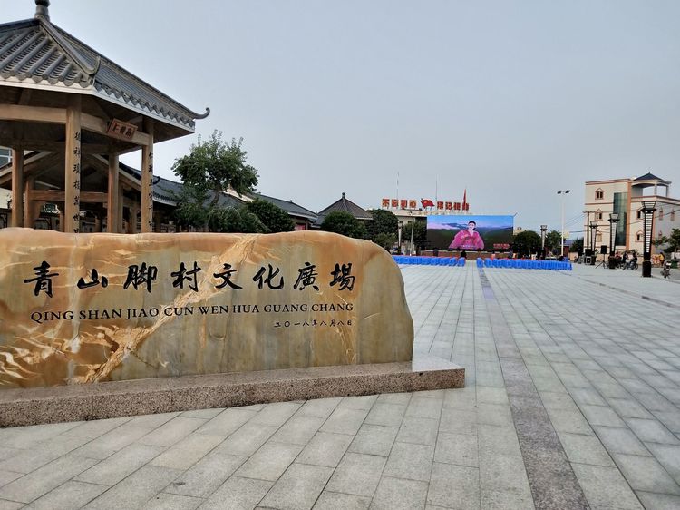 广东省廉江市青平镇