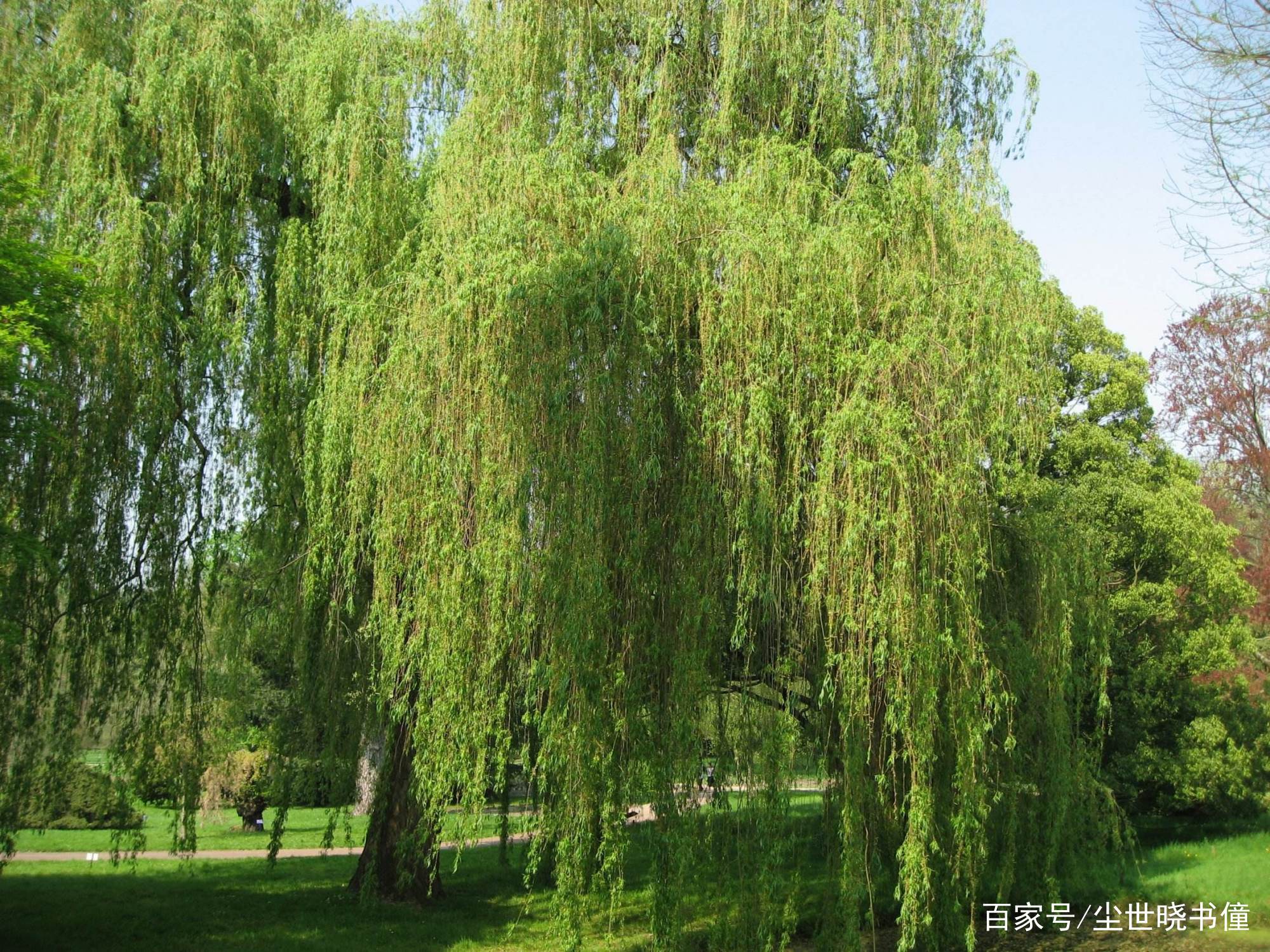 韦庄最经典的一首诗，短短的28个字，写尽了世间的繁华与落幕！_百科TA说