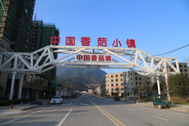 香菇小镇,位于浙江省丽水市庆元县.