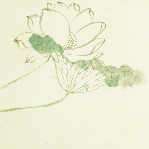 明陈淳花卉图卷