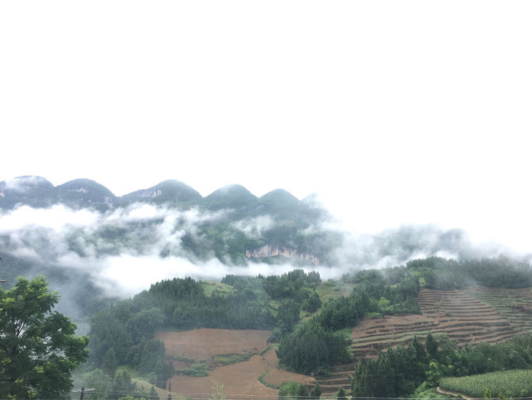 冯坪乡,隶属于重庆市奉节县,地处<a target="