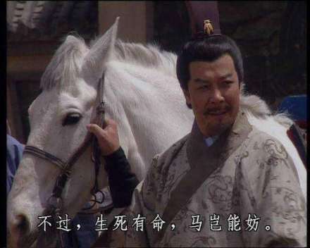 的卢（蜀汉开国皇帝刘备的坐骑）_百度百科