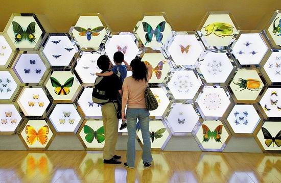 成都华希昆虫博物馆