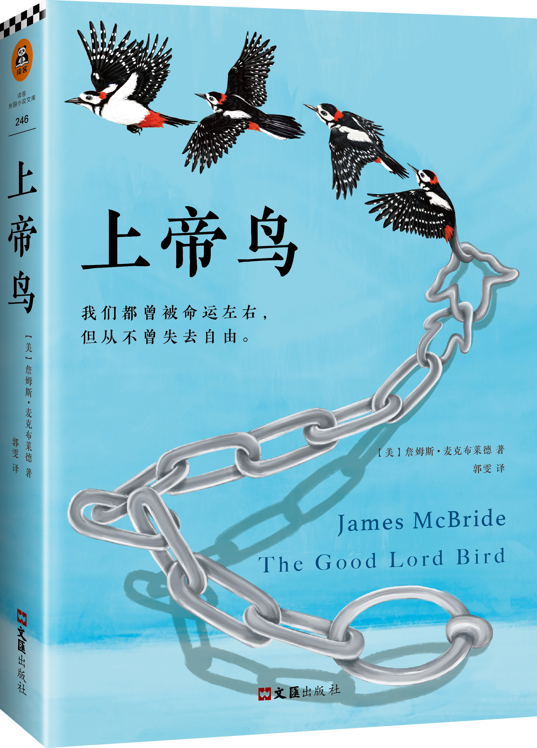  p data-id="gnavf3ippu">《上帝鸟》是美国作家詹姆斯·麦克布莱德的