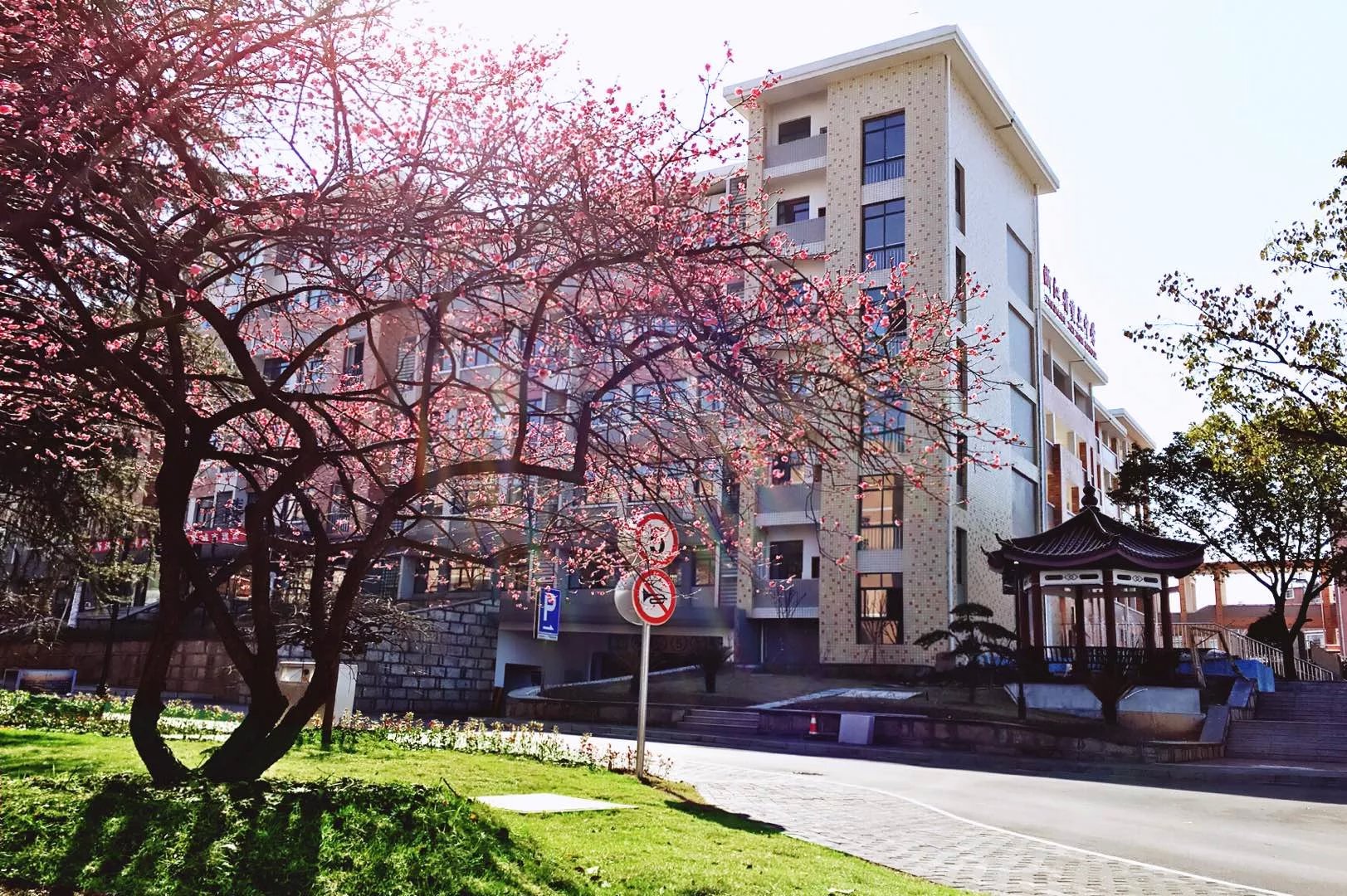 浙江省义乌大成中学