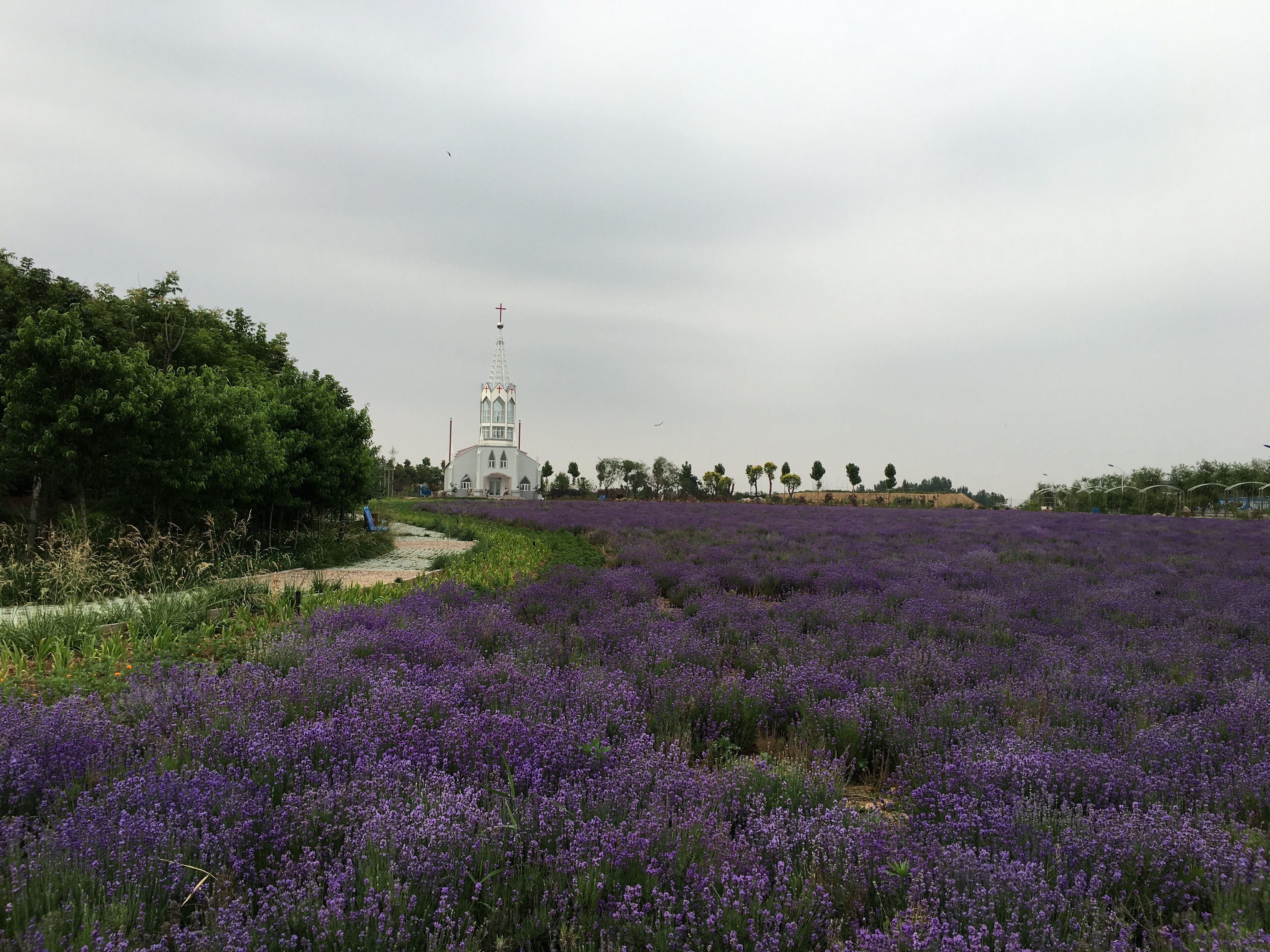  p>高密胶河生态发展区位于全国百强县 a target="_blank" href="