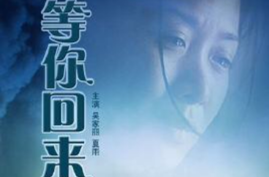  p data-id="gnz5yb1byh">《等你回来》是1997年上映的中国电影,由