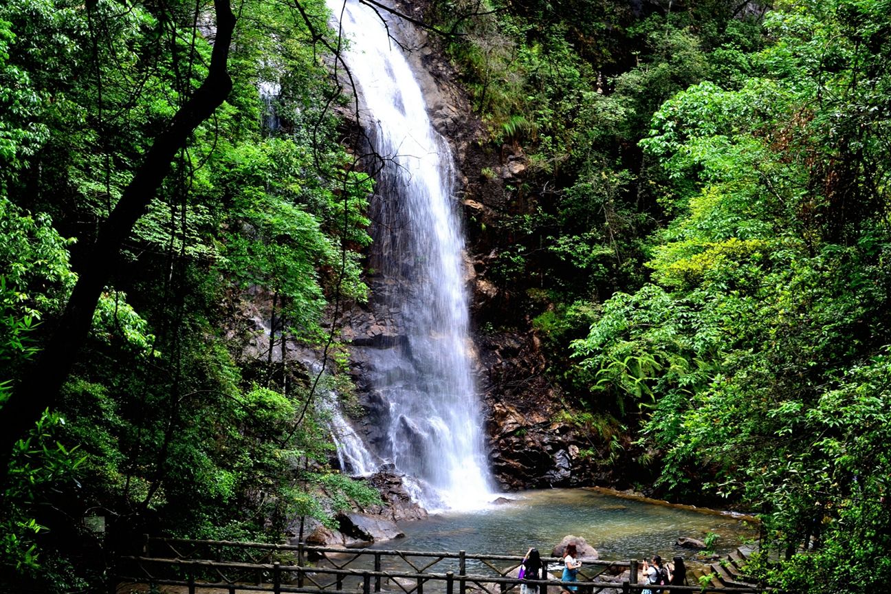 九龙瀑布森林公园