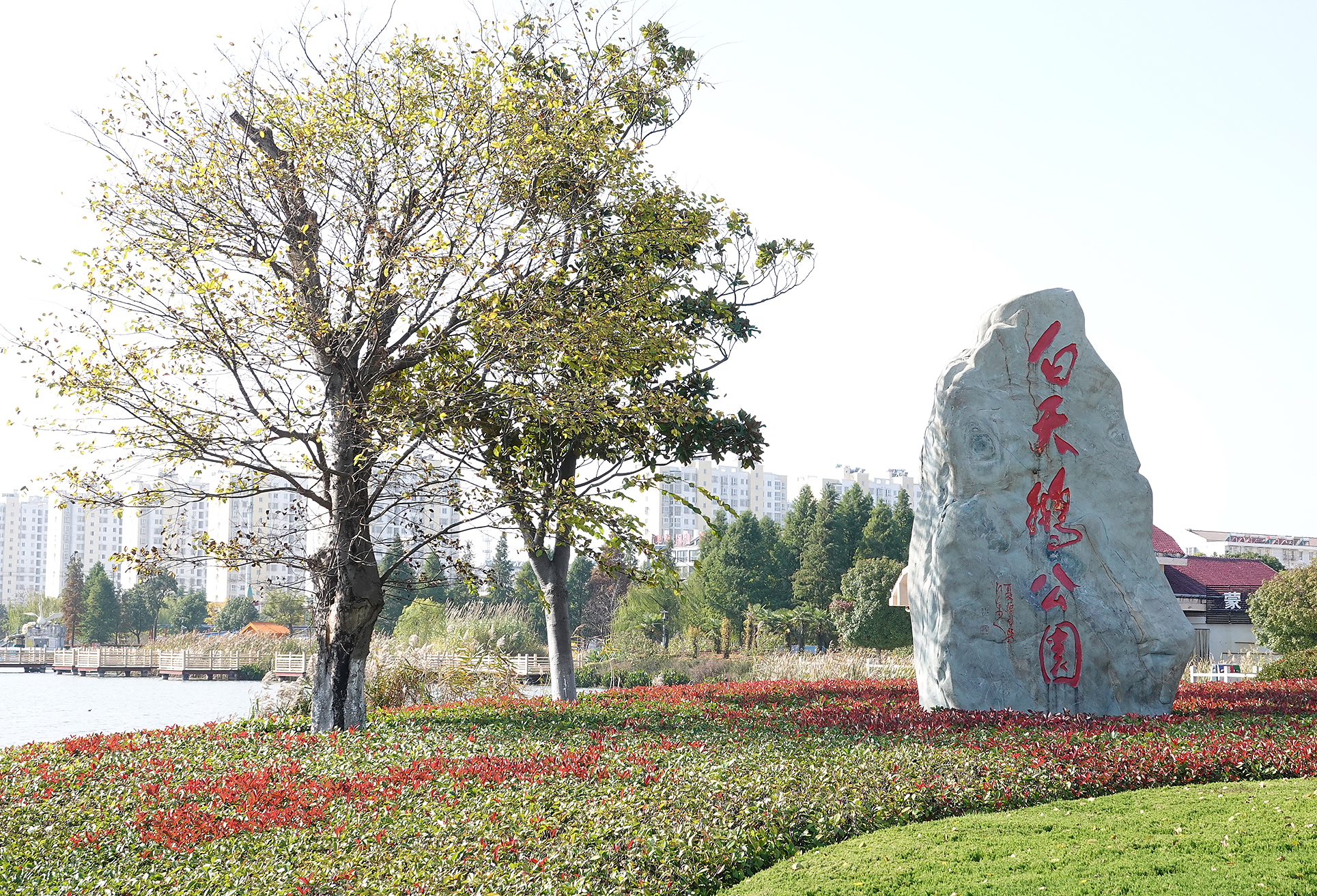  p>白天鹅公园在 a target="_blank" href="/item/阜宁/871643" data
