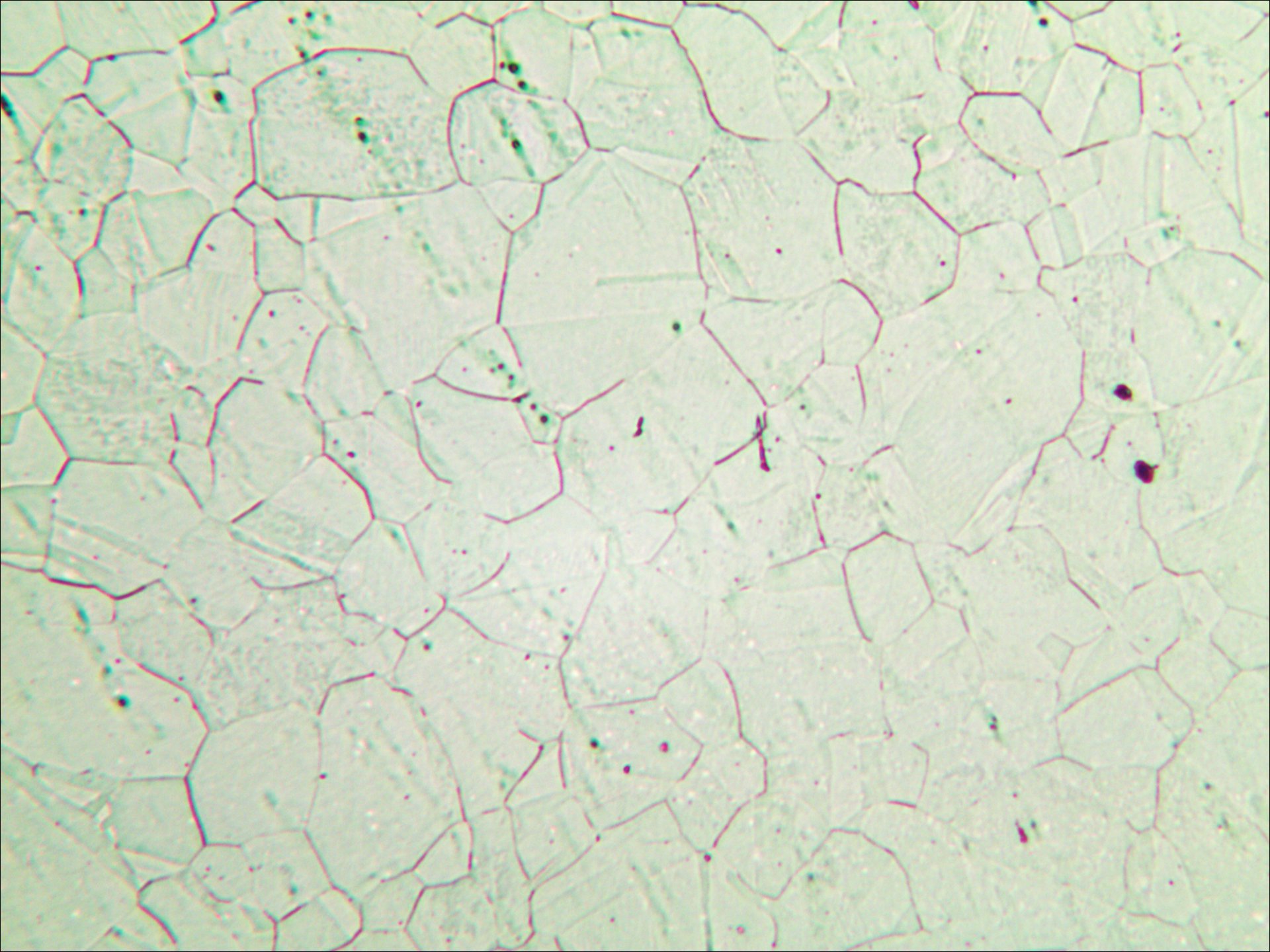 奥氏体体不锈钢