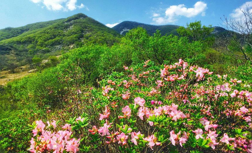  p>大城山位于距辽宁省 a target="_blank" href="/item/东港市