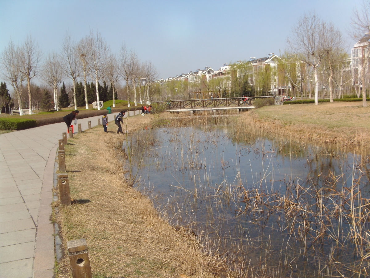 target="_blank" href="/item/桓台">桓台 /a>少海公园位于 a target=