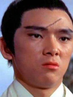 the magnificent chivalry