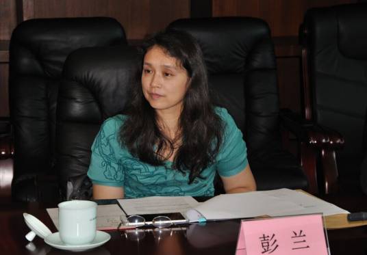 彭兰（中国人民大学新闻学院教授）_百度百科