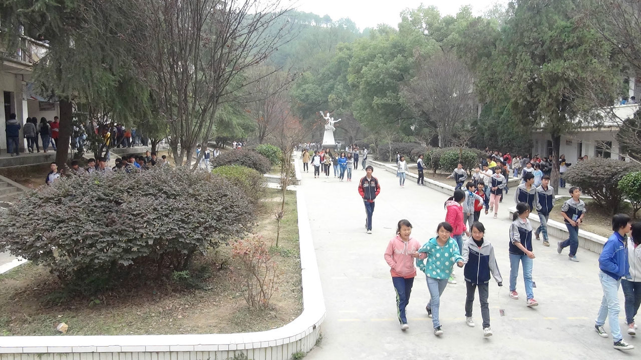  p>于都县第七中学,前身银坑中学,是江西省重点建设中学.